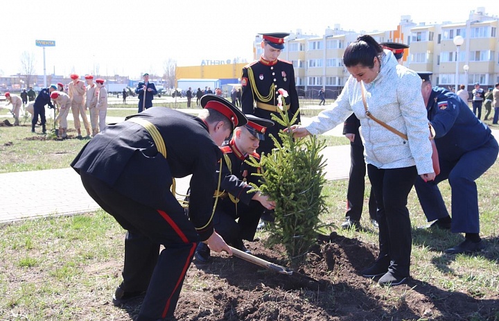 Акция «Посади и вырасти свое дерево» начинается в Заволжском районе